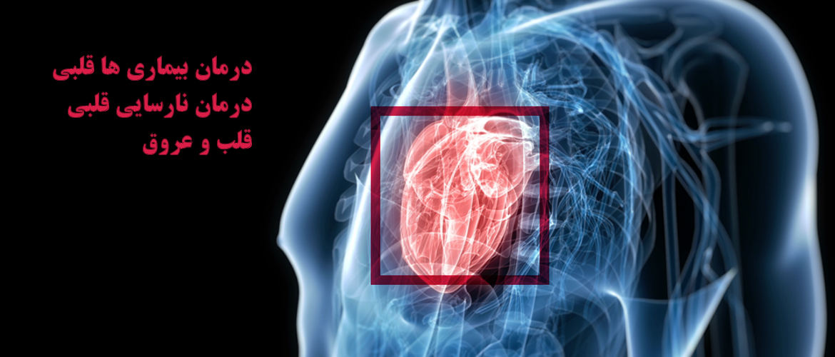 قلب و عروق قلب و عروق